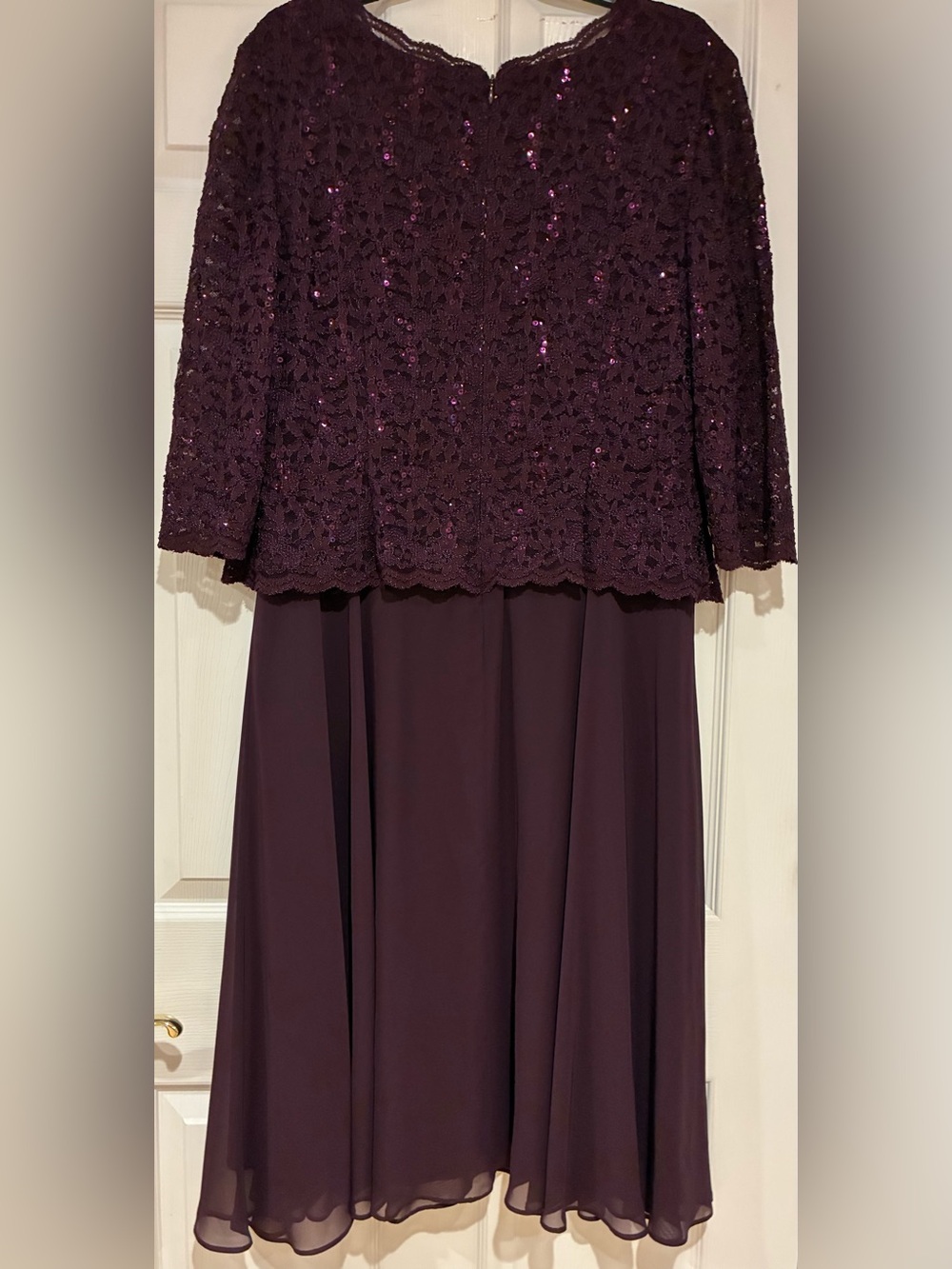 Alex Evenings Dark Plum Lace & Chiffon Evening Dress